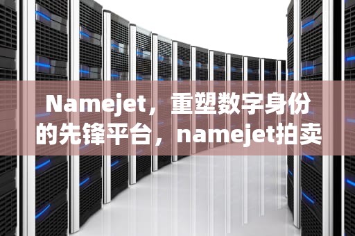 Namejet，重塑数字身份的先锋平台，namejet拍卖交易数量