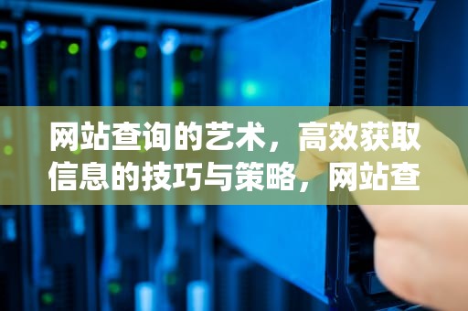 网站查询的艺术，高效获取信息的技巧与策略，网站查询域名ip