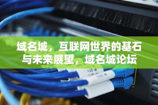 域名城，互联网世界的基石与未来展望，域名城论坛