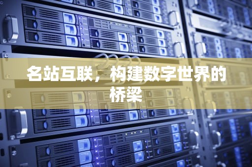 名站互联，构建数字世界的桥梁