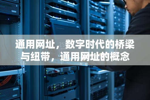 通用网址，数字时代的桥梁与纽带，通用网址的概念