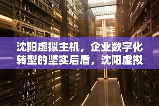 沈阳虚拟主机，企业数字化转型的坚实后盾，沈阳虚拟主机生产厂家