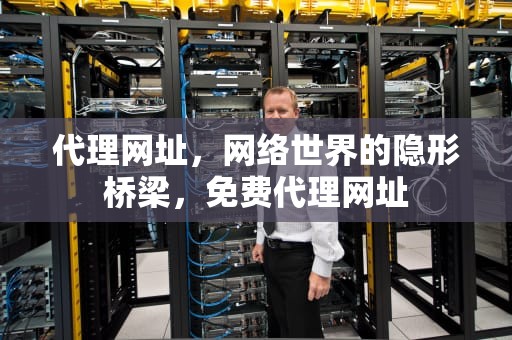 代理网址，网络世界的隐形桥梁，免费代理网址