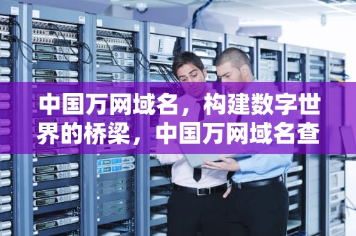 中国万网域名，构建数字世界的桥梁，中国万网域名查询