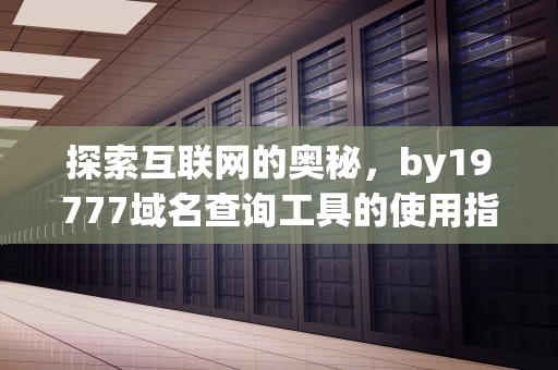 探索互联网的奥秘，by19777域名查询工具的使用指南，bsd77777域名查询