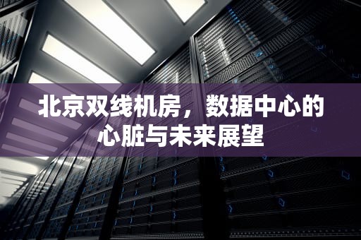 北京双线机房，数据中心的心脏与未来展望