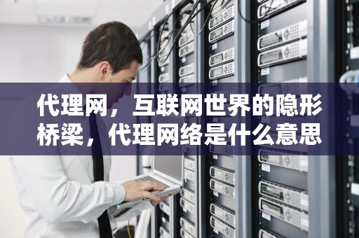 代理网，互联网世界的隐形桥梁，代理网络是什么意思