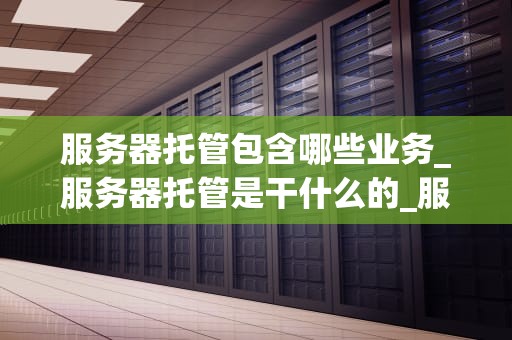 服务器托管包含哪些业务_服务器托管是干什么的_服务器托管业务全面解析