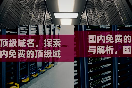 国内免费的顶级域名，探索与解析，国内免费的顶级域名有哪些
