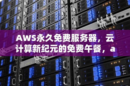 AWS永久免费服务器，云计算新纪元的免费午餐，aws永久免费服务器有哪些