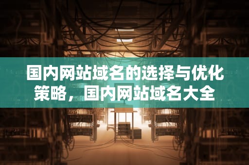 国内网站域名的选择与优化策略，国内网站域名大全