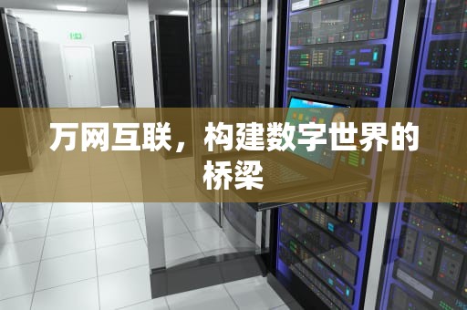 万网互联，构建数字世界的桥梁