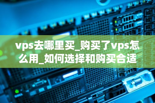vps去哪里买_购买了vps怎么用_如何选择和购买合适的VPS服务