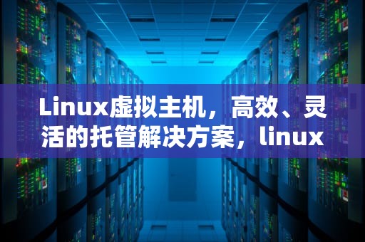 Linux虚拟主机，高效、灵活的托管解决方案，linux虚拟主机配置