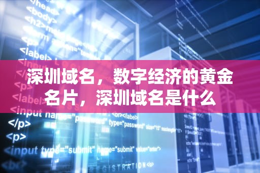 深圳域名，数字经济的黄金名片，深圳域名是什么