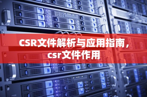 CSR文件解析与应用指南，csr文件作用