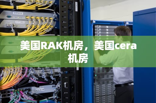 美国RAK机房，美国cera机房