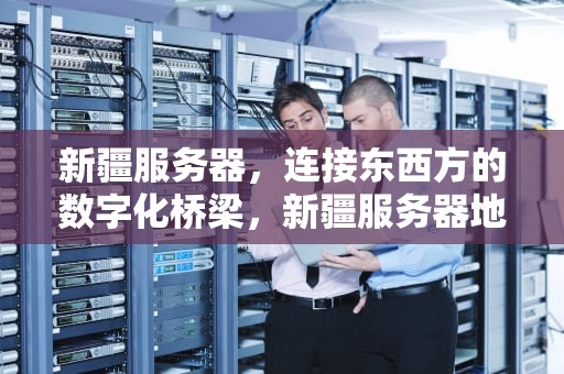 新疆服务器，连接东西方的数字化桥梁，新疆服务器地址