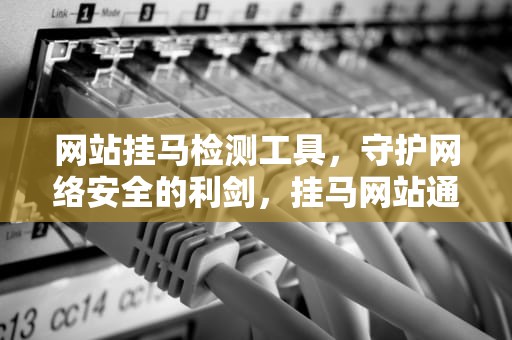 网站挂马检测工具，守护网络安全的利剑，挂马网站通过在网页中嵌入攻击代码攻击浏览器