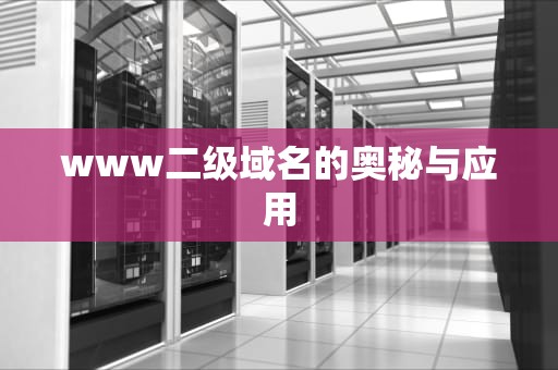 www二级域名的奥秘与应用