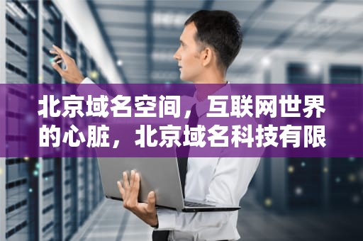 北京域名空间，互联网世界的心脏，北京域名科技有限公司