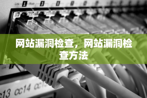 网站漏洞检查，网站漏洞检查方法