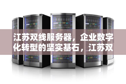 江苏双线服务器，企业数字化转型的坚实基石，江苏双线服务器租用