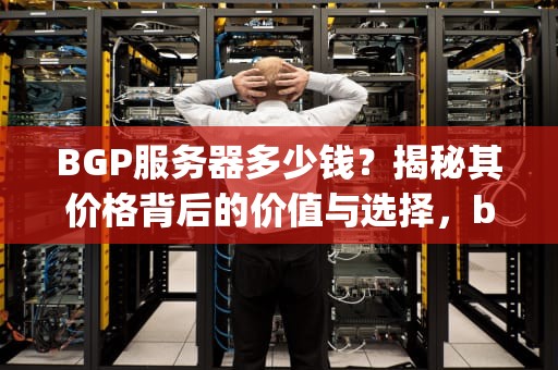 BGP服务器多少钱？揭秘其价格背后的价值与选择，bgp服务器多少钱芝麻