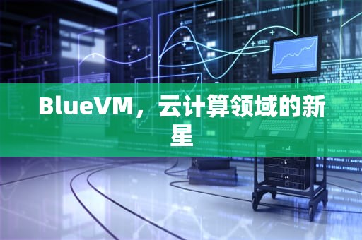 BlueVM，云计算领域的新星