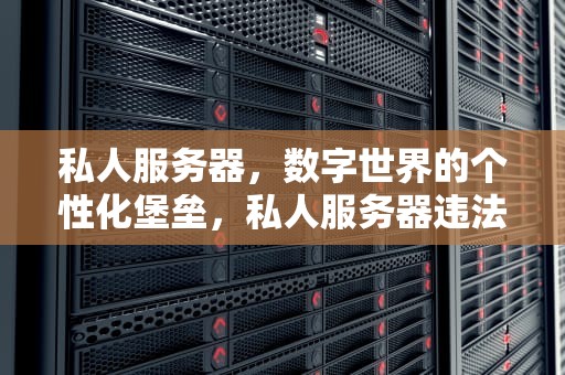 私人服务器，数字世界的个性化堡垒，私人服务器违法吗