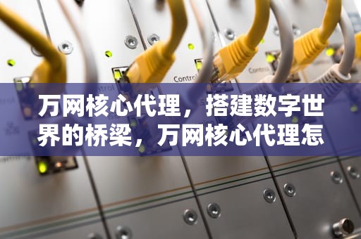 万网核心代理，搭建数字世界的桥梁，万网核心代理怎么样