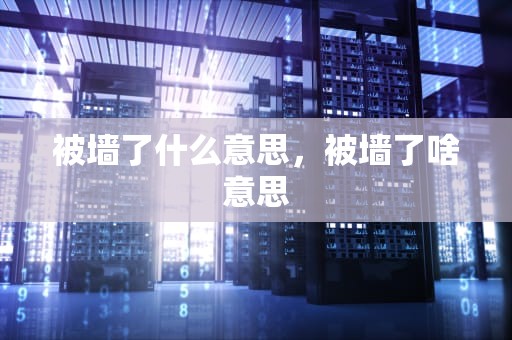 被墙了什么意思，被墙了啥意思