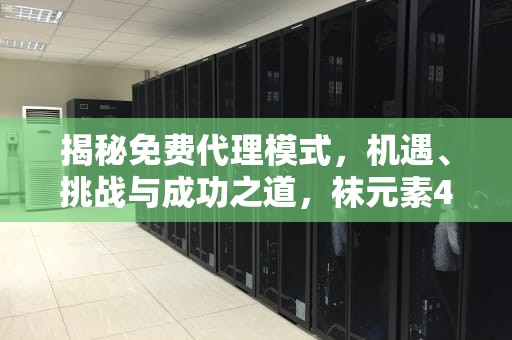 揭秘免费代理模式，机遇、挑战与成功之道，袜元素490免费做代理