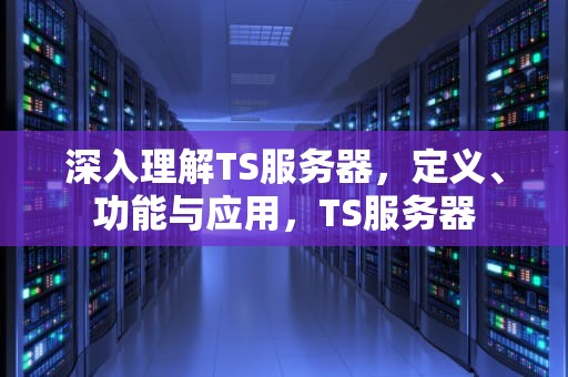 深入理解TS服务器，定义、功能与应用，TS服务器