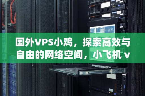 国外VPS小鸡，探索高效与自由的网络空间，小飞机 vps