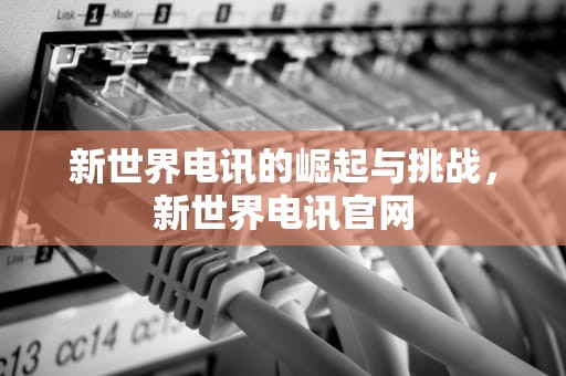 新世界电讯的崛起与挑战，新世界电讯官网