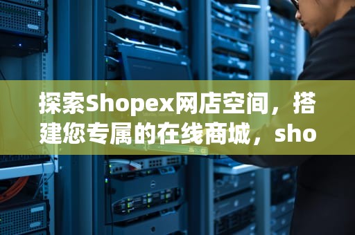 探索Shopex网店空间，搭建您专属的在线商城，shopspace