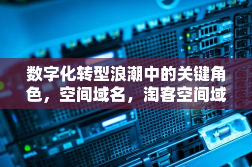 数字化转型浪潮中的关键角色，空间域名，淘客空间域名