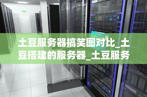 土豆服务器搞笑图对比_土豆搭建的服务器_土豆服务器搞笑图对比：从笑点到技术