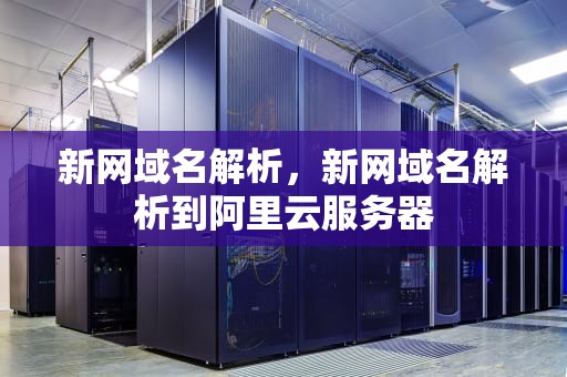 新网域名解析，新网域名解析到阿里云服务器