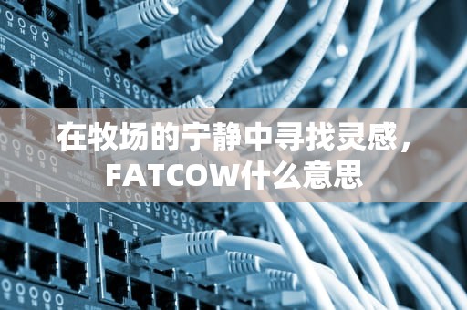 在牧场的宁静中寻找灵感，FATCOW什么意思