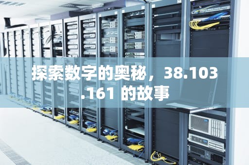 探索数字的奥秘，38.103.161 的故事