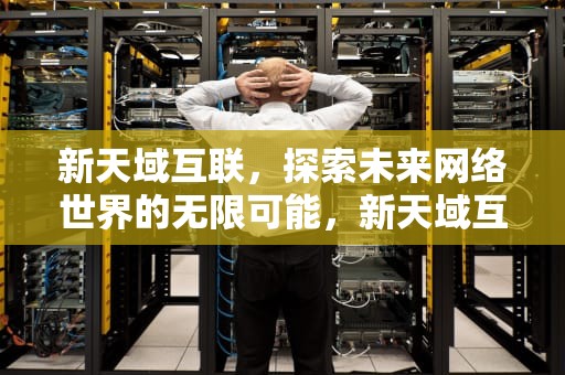 新天域互联，探索未来网络世界的无限可能，新天域互联有限公司