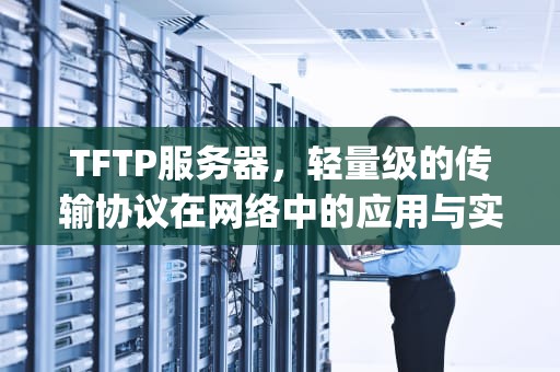TFTP服务器，轻量级的传输协议在网络中的应用与实践，tftp服务器搭建教程