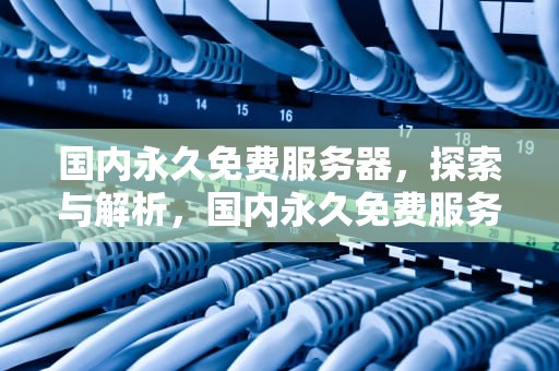 国内永久免费服务器，探索与解析，国内永久免费服务器排行榜