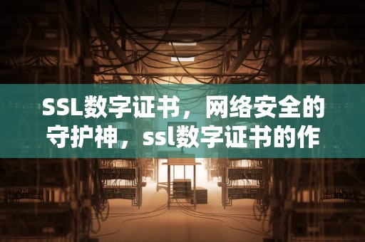 SSL数字证书，网络安全的守护神，ssl数字证书的作用