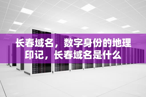 长春域名，数字身份的地理印记，长春域名是什么