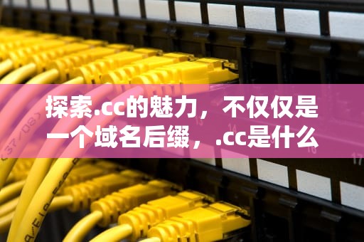 探索.cc的魅力，不仅仅是一个域名后缀，.cc是什么网站类型
