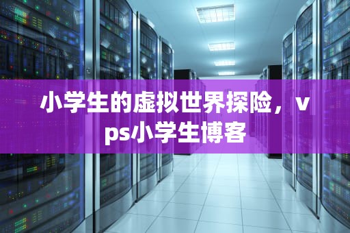 小学生的虚拟世界探险，vps小学生博客
