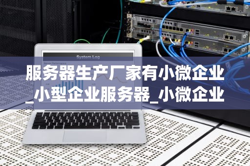 服务器生产厂家有小微企业_小型企业服务器_小微企业在服务器生产行业的挑战与机遇